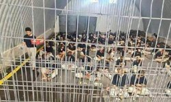 Hamas, Filistinli esirlere idam kararına açıklama yaptı: Yeni bir zulüm dönemi