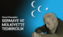 Temel Prensipler: Sermaye ve mülkiyette tedbircilik