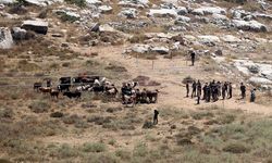 Evleri basıyor, hırsızlık yapıyor, çocuk öldürüyorlar! İstenmeyen ırk: Yahudiler