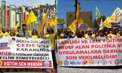 Bu ne tezat? Laikliği isteyen siz, bataklıktan rahatsız olan da siz!