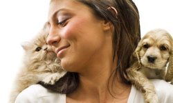 Yeni tehlike: Kedi-köpek anneliği