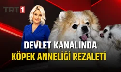 Devlet kanalında köpek anneliği rezaleti