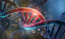 Araştırma: DNA labirentinde 'şahsiyet' izi