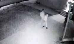 Mukadessata saldıran bu p.ç kurularına milletin sabrı taştı!