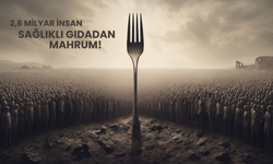 2,6 milyar insan sağlıklı gıdadan mahrum