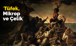 Tüfek, Mikrop ve Çelik