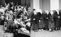 1950-1951 / Bulgaristan yüz binlerce Türk'ü sınır dışı etti!