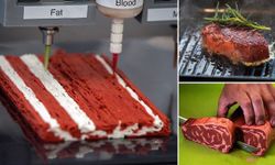 Yapay et projesinin arkasında Yahudi parmağı
