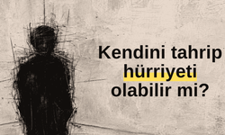 Kendini tahrip hürriyeti olabilir mi?