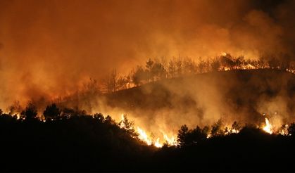 4 bin 392 hektarlık ormanı yakan sanığa 19 yıl hapis ve 190 bin lira para cezası