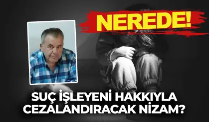 Ürettiği canavarı besleyen kokuşmuş hukuk sistemimiz!