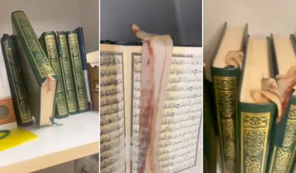 İsveç İslam düşmanlığında sınır tanımıyor!