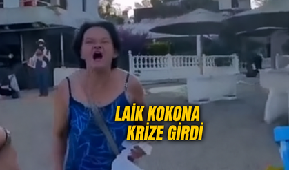 Laik kokona krize girdi