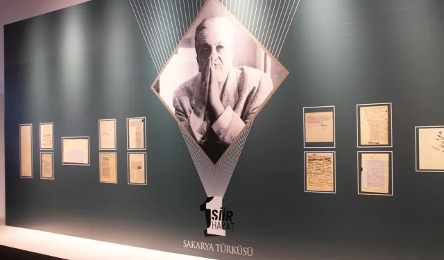 "1 Şiir 1 Hayat Sakarya Türküsü" sergisi ziyaretçilerini bekliyor