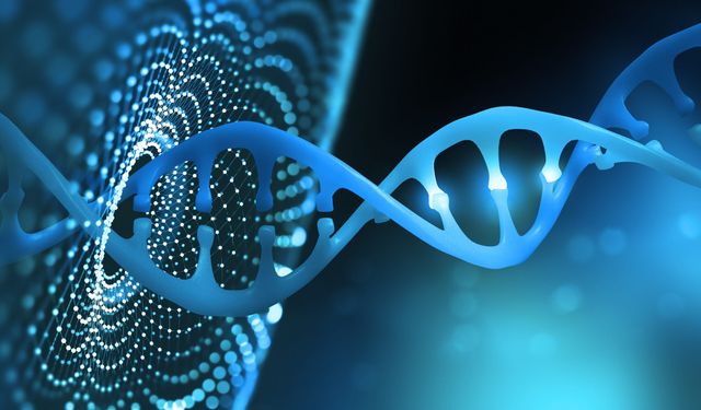 Yapay zeka DNA'daki değişimleri tanımlayabiliyor
