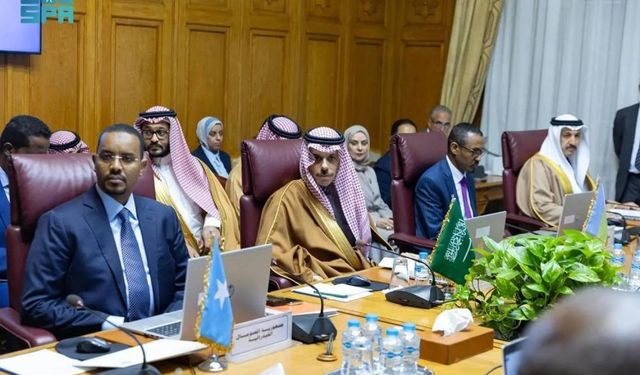 Suudi Arabistan, Türkiye-Somali anlaşmalarından rahatsız oldu