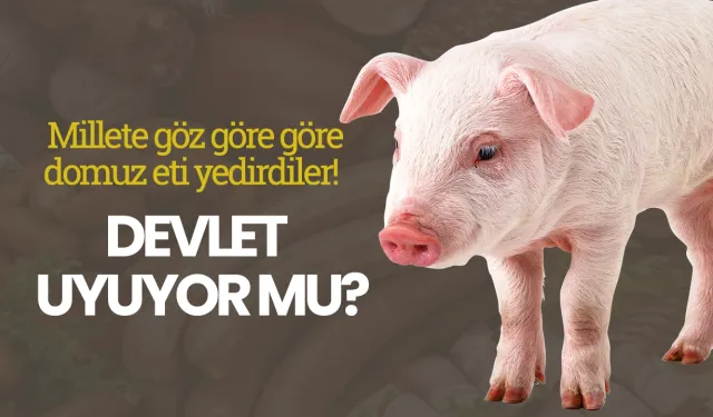 Millete göz göre göre domuz eti yedirdiler! Devlet uyuyor mu?