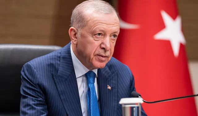 Erdoğan'dan belediyelere "başıboş köpek" uyarısı: Görevinizi yapın