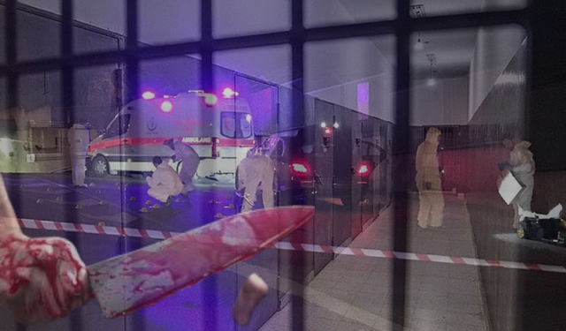 Kemalist vesayetin sonucu: Suçlar, suçlular ve hapishaneler artıyor