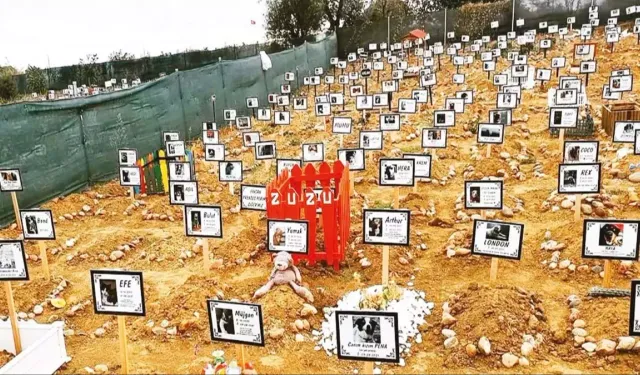 Sekülerlerin yeni sapkın ritüeli: Evcil hayvan mezarlıkları