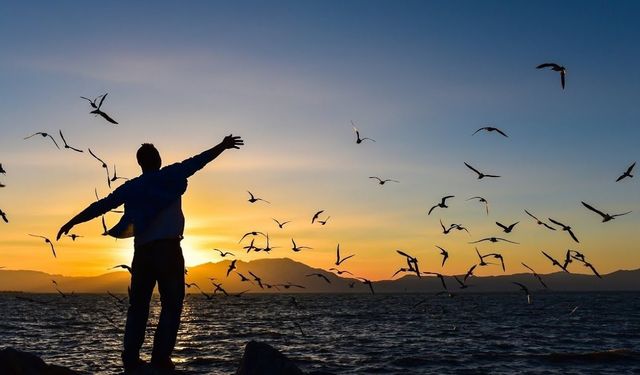 Bir ideale göre yaşamak