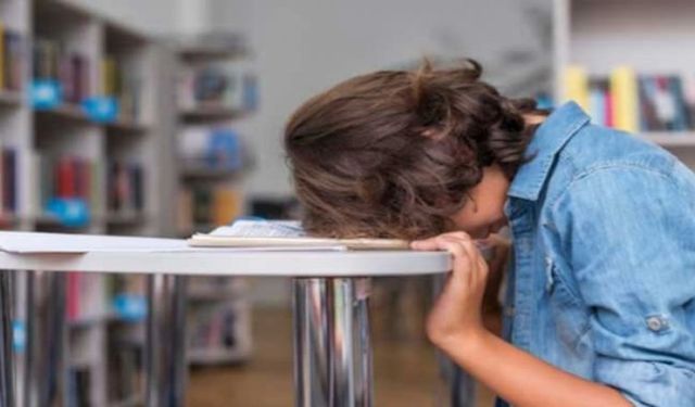 Eğitim sistemi herkesi kapsamıyor, Müslümanları parya görüyor