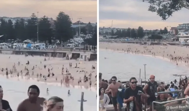 Avustralya'da Yahudilerin Hanuka kutlaması yaptığı plaja saldırı: Çok sayıda ölü ve yaralı var