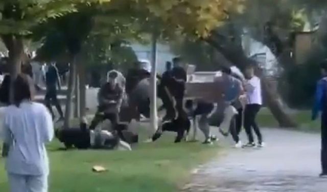 Görüş: İnsan ve eğitim