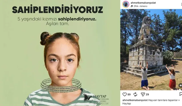 Çocukları hayvan yerine koyan HAYTAP'ın Epstein ile bağlantısı araştırılmalı