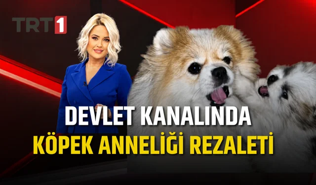 Devlet kanalında köpek anneliği rezaleti