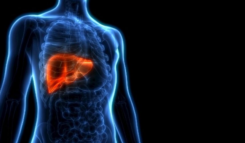 Bilim adamları, karaciğer yağlanmasının beyne zarar verdiğini ortaya koydu