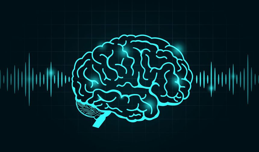 Beyin dalgaları kayıtlarından 'yeniden' şarkı yapıldı