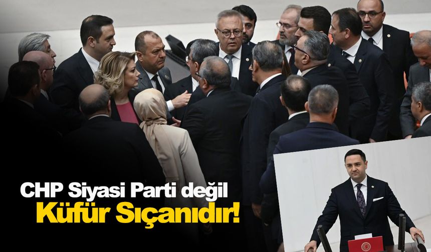 CHP siyasi parti değil küfür sıçanıdır!