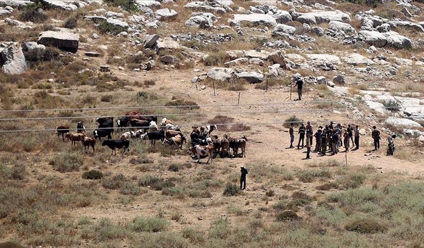 Evleri basıyor, hırsızlık yapıyor, çocuk öldürüyorlar! İstenmeyen ırk: Yahudiler