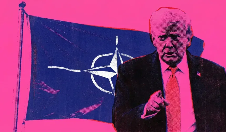 Trump: NATO'nun yardımına ihtiyacımız yok