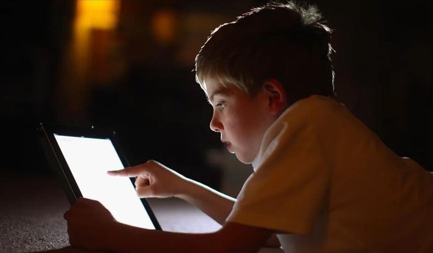 Dijital tehditlere erişim engeli