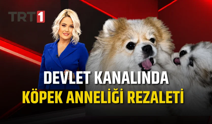 Devlet kanalında köpek anneliği rezaleti