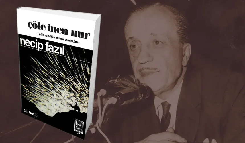 Çöle İnen Nur ve diğer siyer kitapları