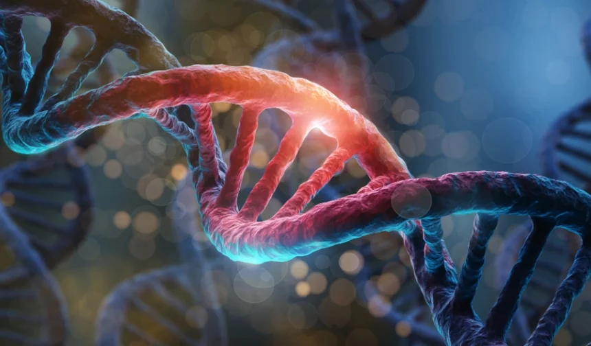 DNA labirentinde 'şahsiyet' izi