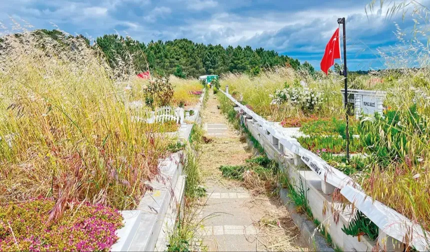 İBB mezarlıklarındaki bakımsızlık isyan ettirdi