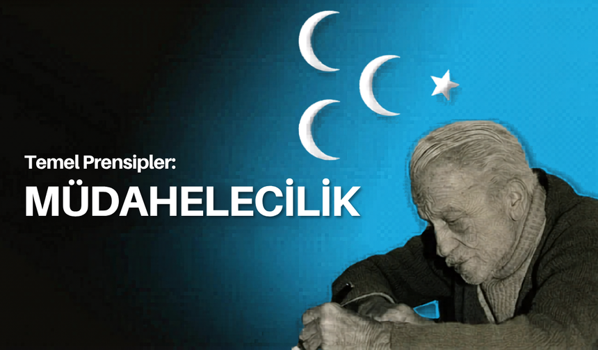 Temel Prensipler: Müdahalecilik