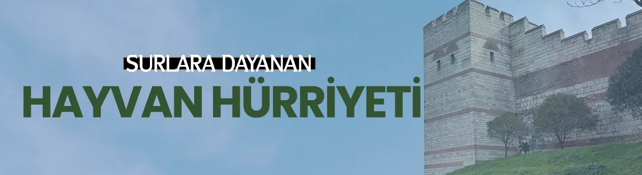 Görüş: Surlara Dayanan Hayvan Hürriyeti